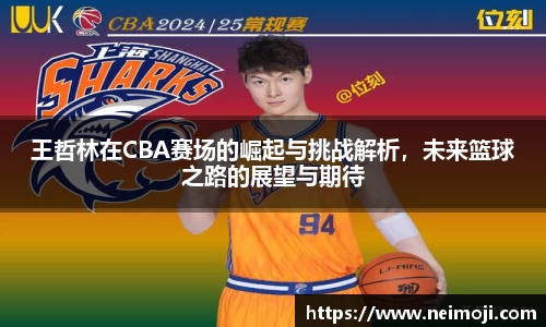 王哲林在CBA赛场的崛起与挑战解析，未来篮球之路的展望与期待